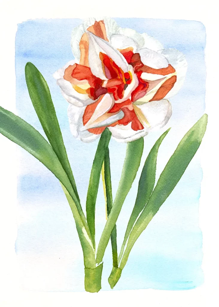 aquarell filled daffodil on blue background