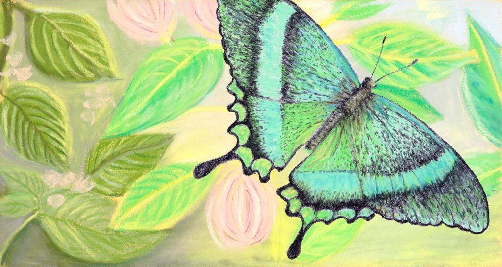 Green Smaragd Butterfly Jungle Background drawn in pastel