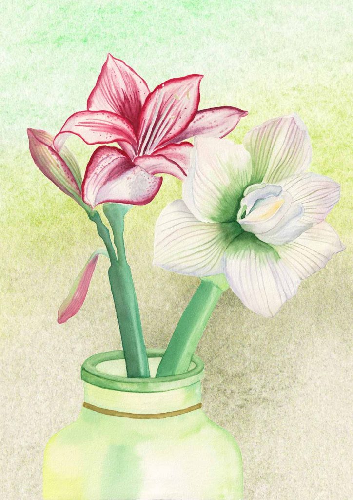 amarillis aquarell painting and mixed media background 