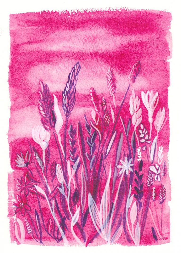 Sommerwiese auf Pink, Tinte und Aquarell