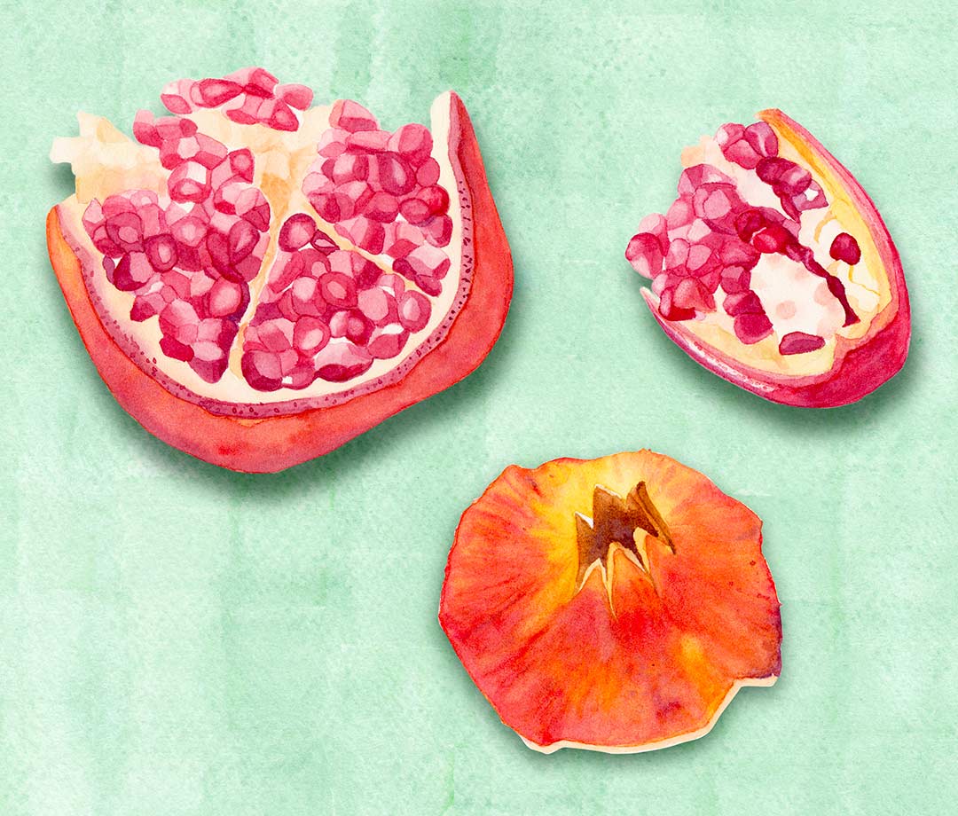 illustrtation of pomegranate on green