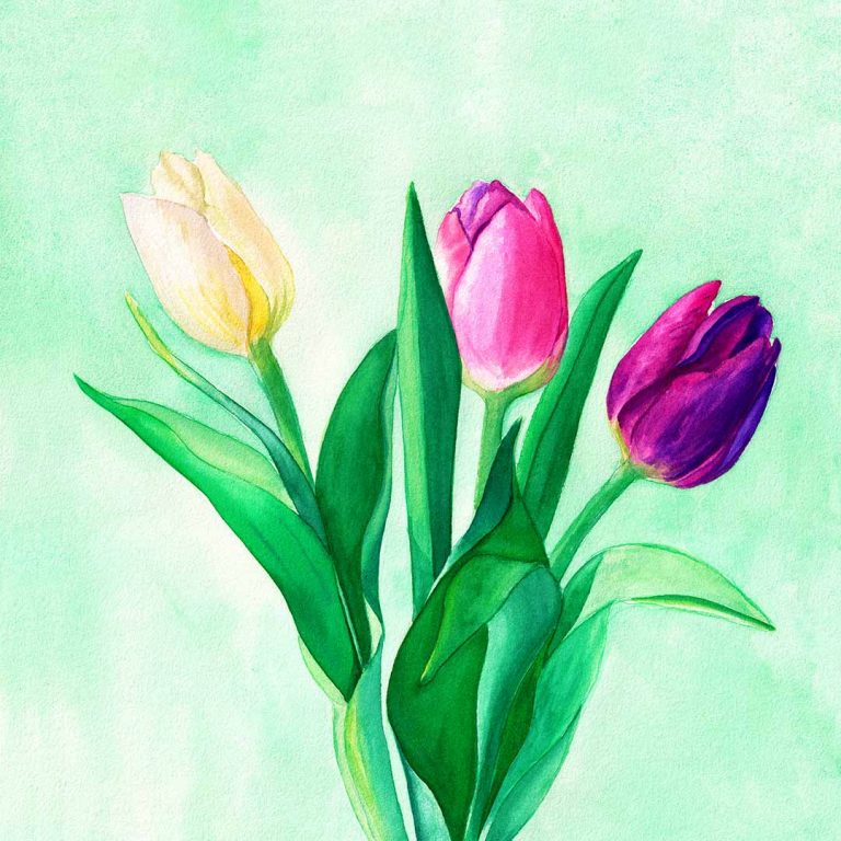 bunch of on lilac, pink, and yellow tulip, aquarell painting